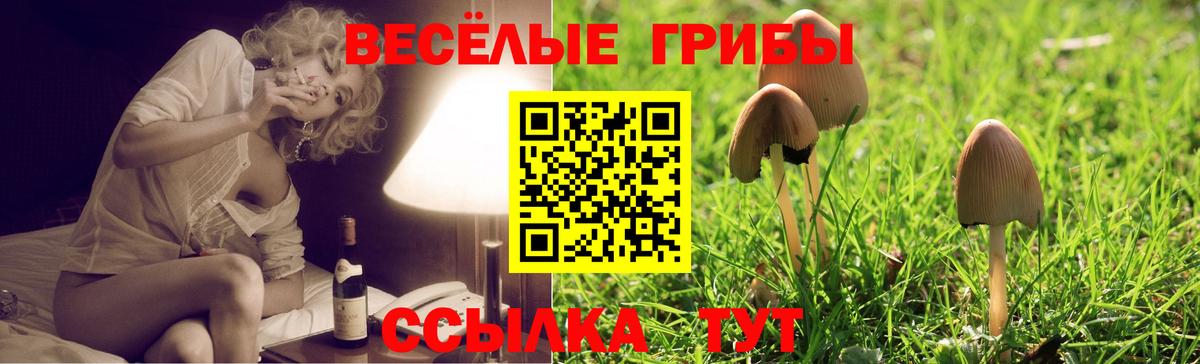 Псилоцибиновые грибы Psilocybe  Вход с VPN  Галлюциногенные грибы MAGIC MUSHROOMS  Вольск 